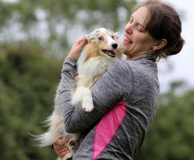 Dog Agility - Cork- Dublin- Ireland- Munster- Dog tricks- Dog Shows- Working Trials- Dog Obedience